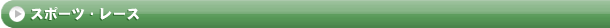 スポーツ・レースゲーム