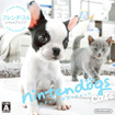 nintendogs + cats フレンチ・ブル & Newフレンズ