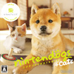 nintendogs + cats 柴 & Newフレンズ